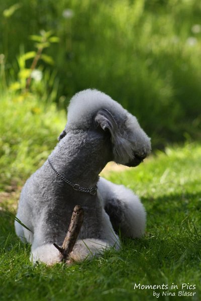 2010-05-29 Alanna und Svet (26).jpg - Airis Blue Volshebny Svet - 2010-05-29